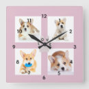 Recherche de chiot horloges Dog