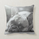 Recherche de bouledogues français coussins Maison
