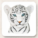 Recherche de tigre blanc dessous de verres Tigres blancs