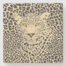 Recherche de leopard dessous de verres Animal