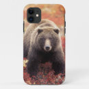 Recherche de ours gris coques Animal