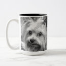 Recherche de yorkshire tasses Chiot