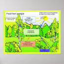Recherche de photosynthèse posters Éducation