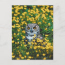 Recherche de fleur orange cartes postales Oiseau