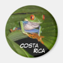 Recherche de mignons grenouille magnets Toute personne