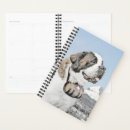 Recherche de st bernard bureau fournitures Chiot