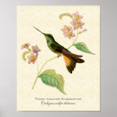 Recherche de copies d de botanique posters Tropical