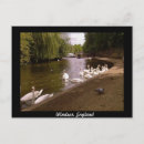 Recherche de tamise cartes postales Windsor