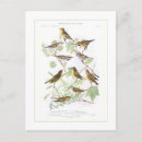 Recherche de blaireau cartes postales Faune