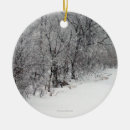 Recherche de neigeux ornements Décorations