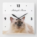 Recherche de nez horloges Mignon