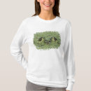 Recherche de rana Vert