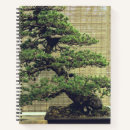 Recherche de graphique de bonsaïs Nature