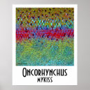 Recherche de pêche à la mouche posters Truite arc en ciel