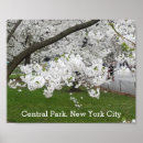 Recherche de springtime posters Travel