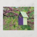 Recherche de arbre fleurissant cartes postales Vert