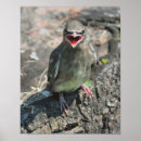 Recherche de jeune animal posters Pour elle