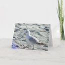 Recherche de myrtie vœux cartes Plage de myrte