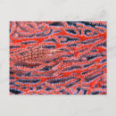 Recherche de gros nez cartes postales Nature