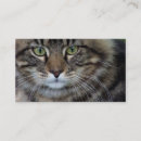 Recherche de visage de chat cartes visite Félin