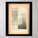 Recherche de cellule humaine art Anatomie