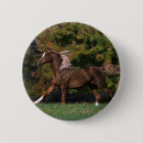 Recherche de cheval arabe badges Fonctionnement