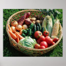 Recherche de fruit drink posters Food and drink