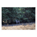 Recherche de ombre posters Pour eux