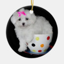Recherche de teacup ornements Chien