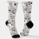 Recherche de dog femme vêtements Chien