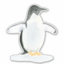 Recherche de amant de pingouin coques Animal