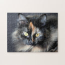 Recherche de sibérie puzzles Chat