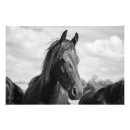 Recherche de tête de cheval art Équin