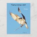 Recherche de brindilles cartes postales Oiseau