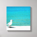 Recherche de tasmania posters Océan