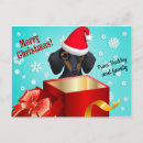 Recherche de chien saucisse invitations Doxie