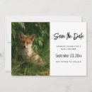 Recherche de renard rouge invitations Nature