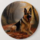 Recherche de berger badges Chien