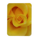 Recherche de pétale magnets Floral
