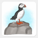 Recherche de puffin autocollants Oiseaux