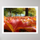Recherche de arbre sans feuilles art Automne