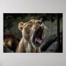 Recherche de bâillon posters Sauvage