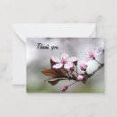 Recherche de cherry blossom correspondances cartes Fleurs de cerisiers