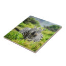 Recherche de arbre noir carreaux Animal