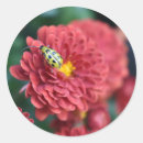 Recherche de ins autocollants Floral