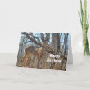 Recherche de deer anniversaire cartes Cerf