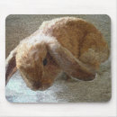 Recherche de looper tapis souris Taillez