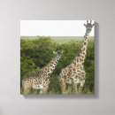 Recherche de girafe impressions sur toile Nature