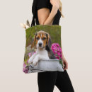 Recherche de magasin mignon Animal