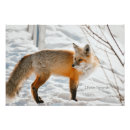 Recherche de chasse neige posters Nature